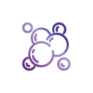 Icon 1